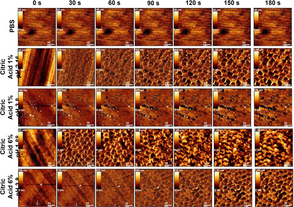 Frontiers | The dynamic interplay of dietary acid pH and