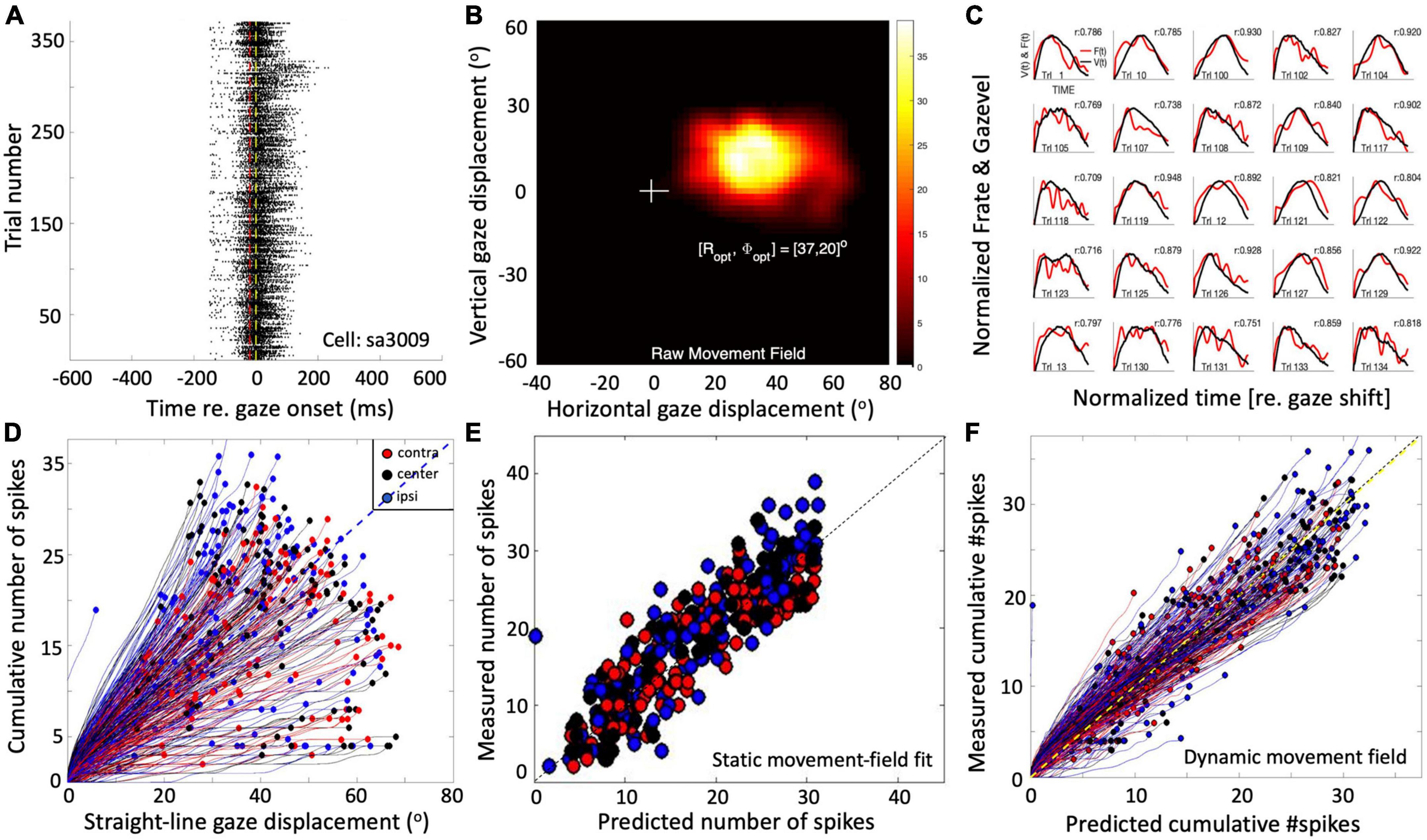 How your eyes betray your thoughts, Neuroscience