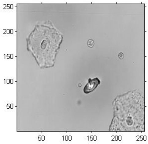 Advances in holography - Keesing Platform