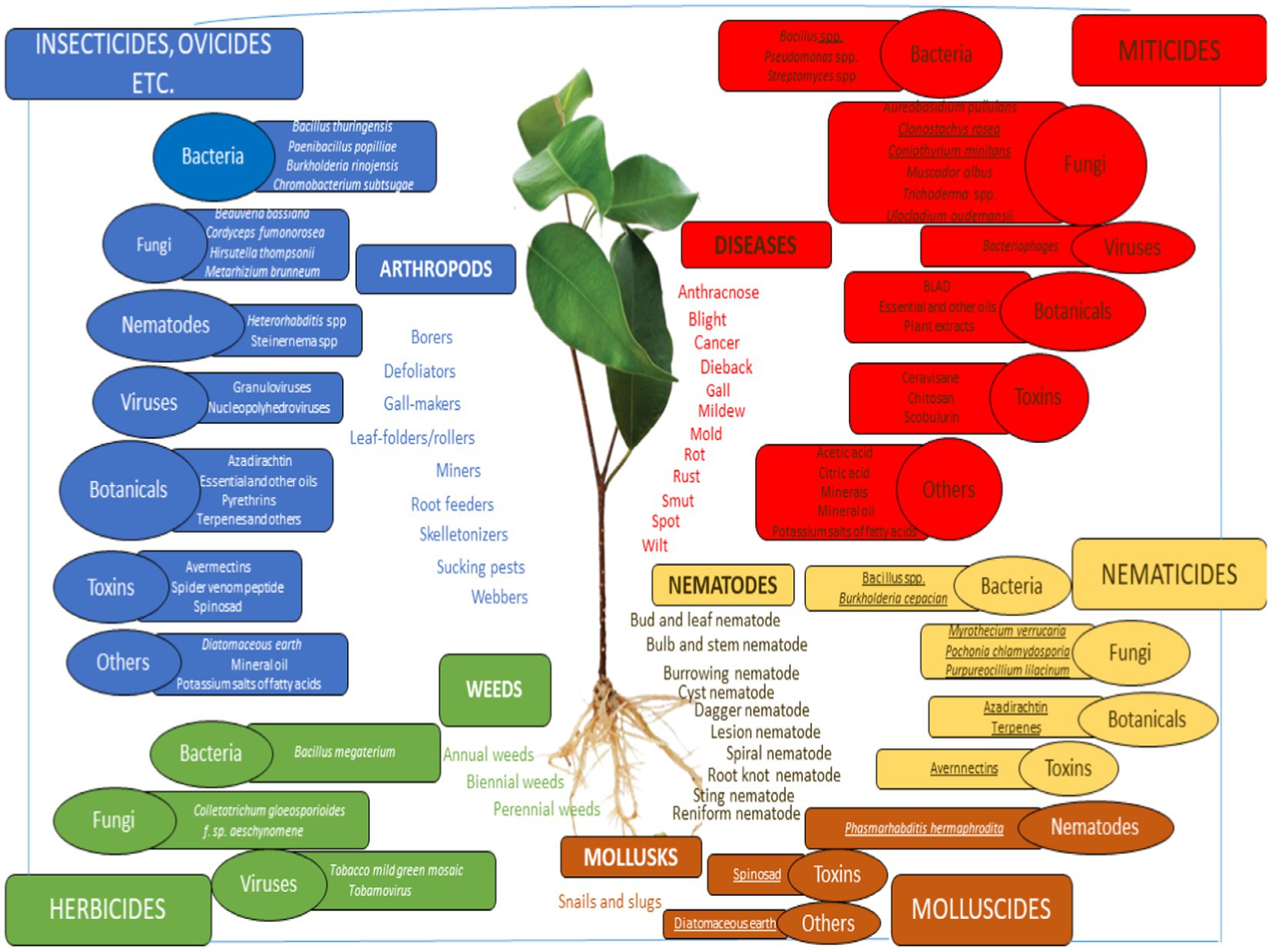 Frontiers | Biopesticides as a promising alternative to synthetic  pesticides: A case for microbial pesticides, phytopesticides, and  nanobiopesticides