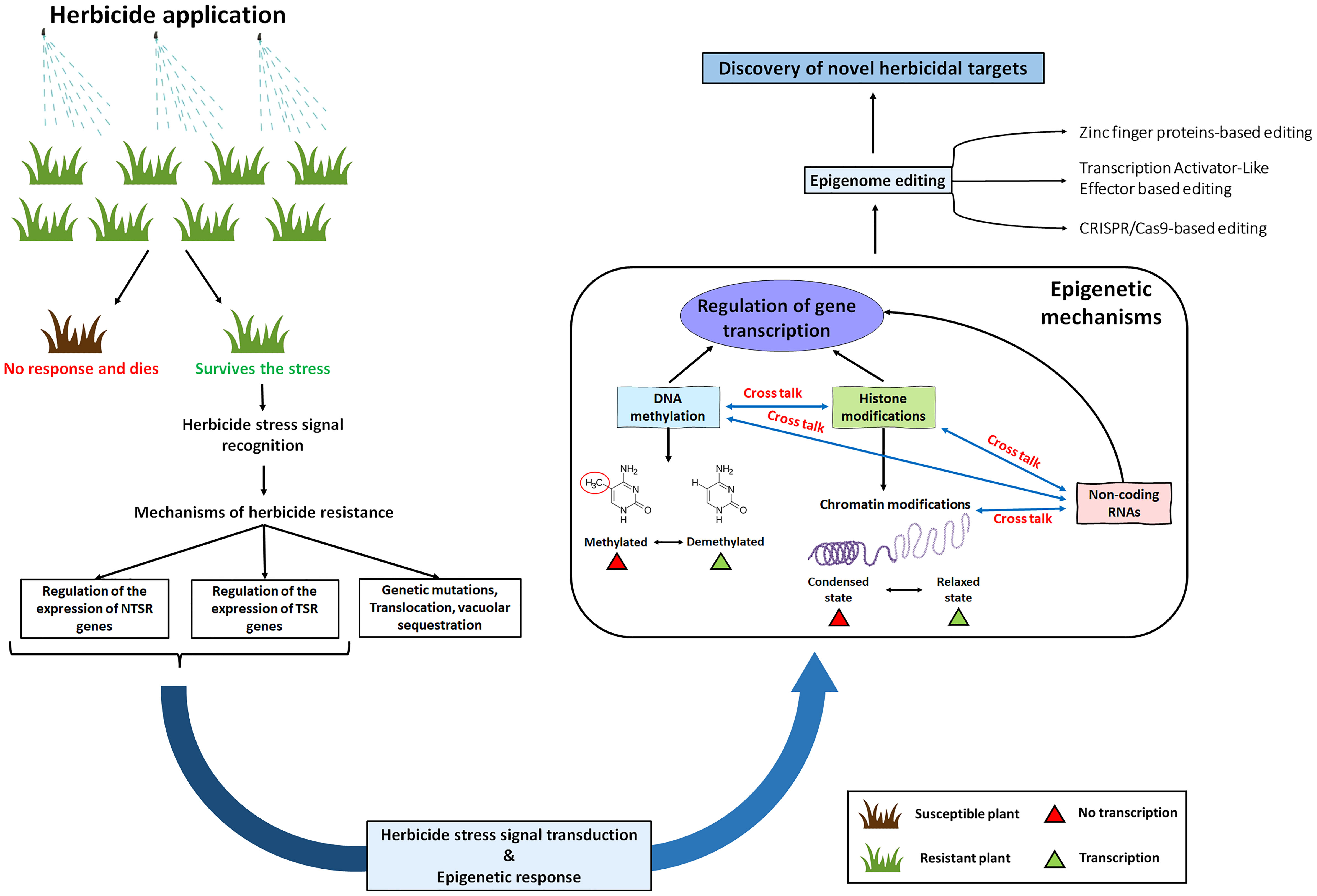 herbicides current research and case studies in use