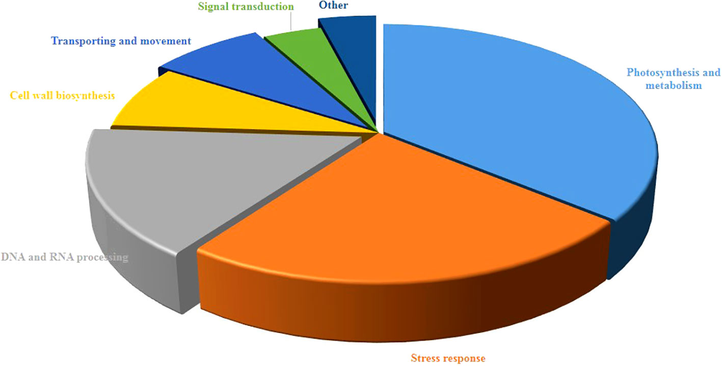 www.frontiersin.org