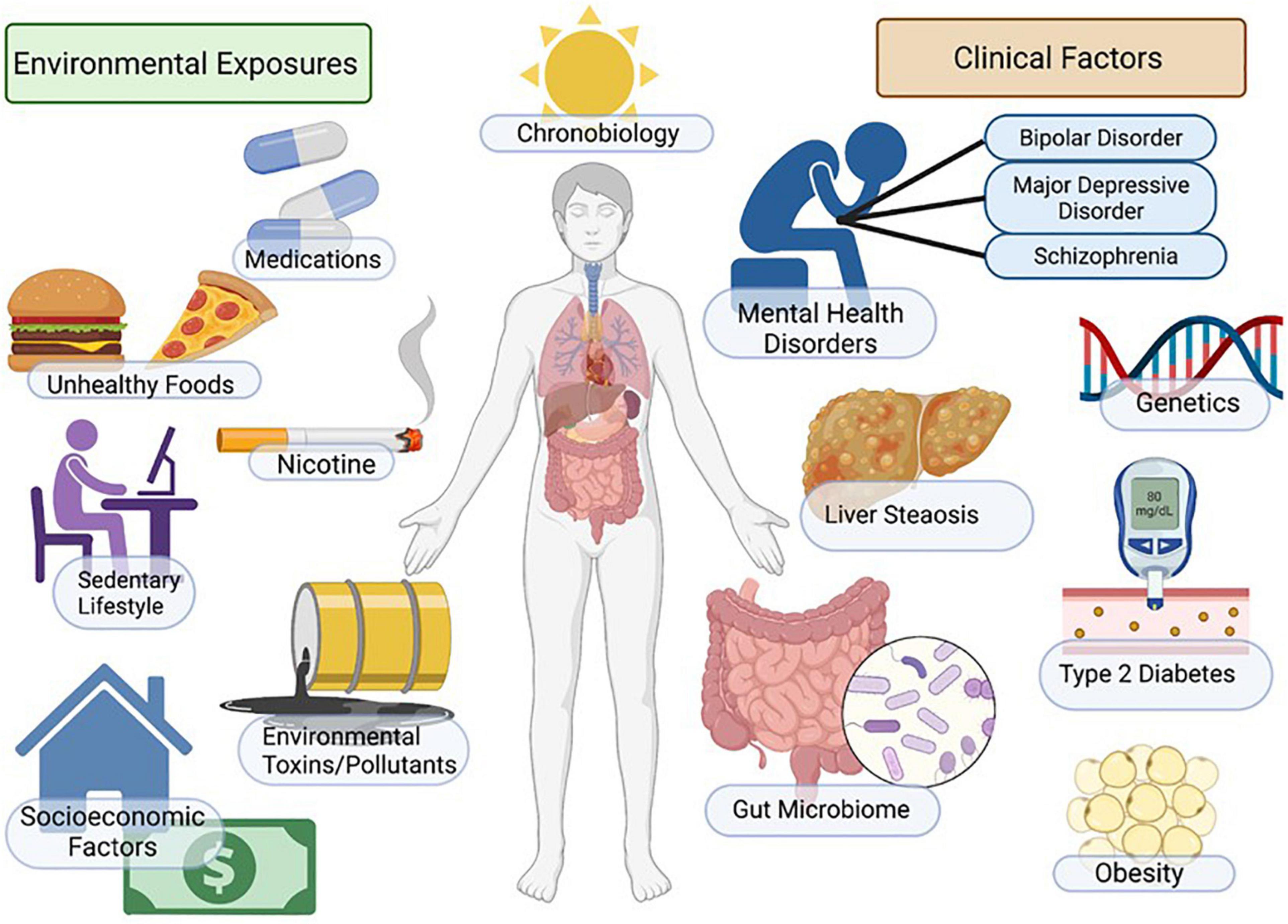 Metabolite Toxicity as a Driver of Aging and Disease — THE HUGHES LAB