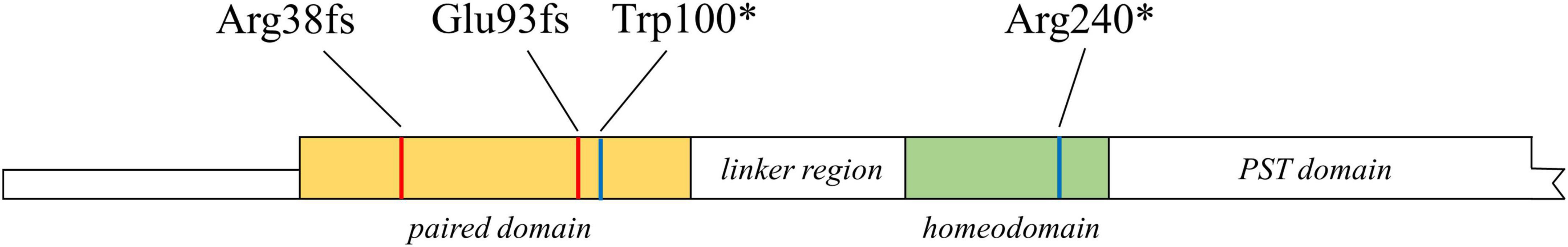 www.frontiersin.org