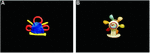 www.frontiersin.org