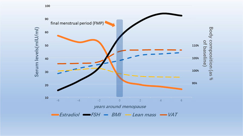 Frontiers Effects Of Follicle stimulating Hormone On Fat Metabolism 