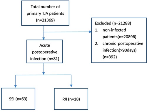 Frontiers | Are the preoperative albumin levels and the albumin to ...