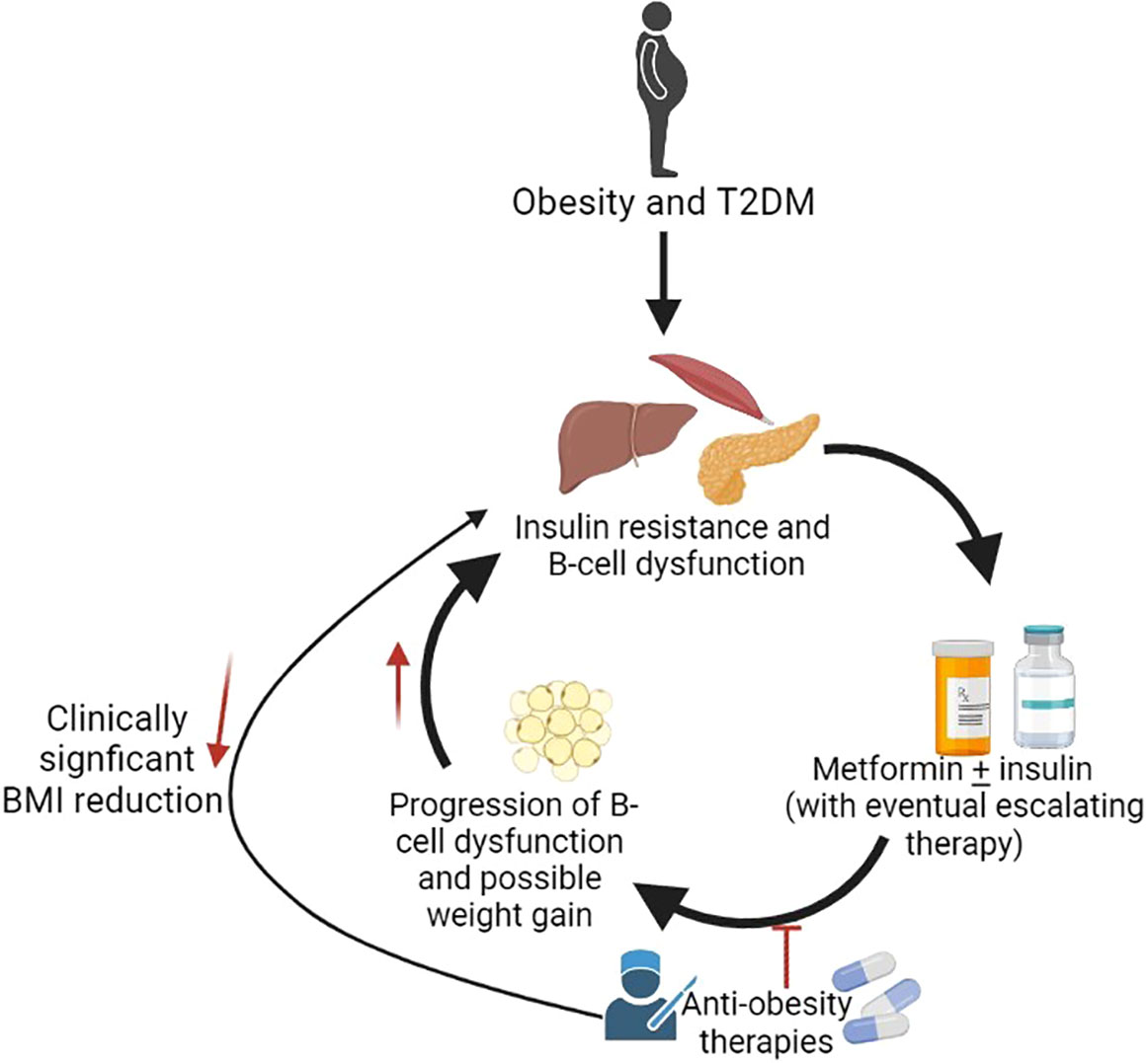 Frontiers Anti-obesity pharmacotherapy for treatment of pediatric type 2 diabetes Review of the literature and lessons learned from adults pic