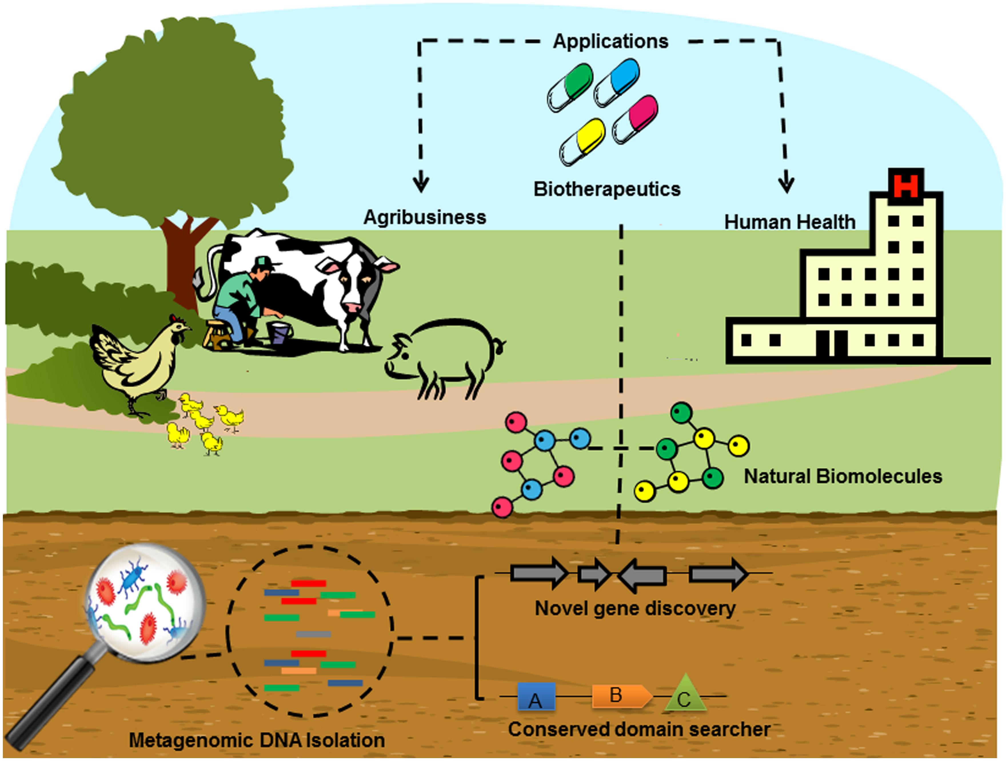 Frontiers | Insights into novel antimicrobial compounds and antibiotic resistance genes from ...