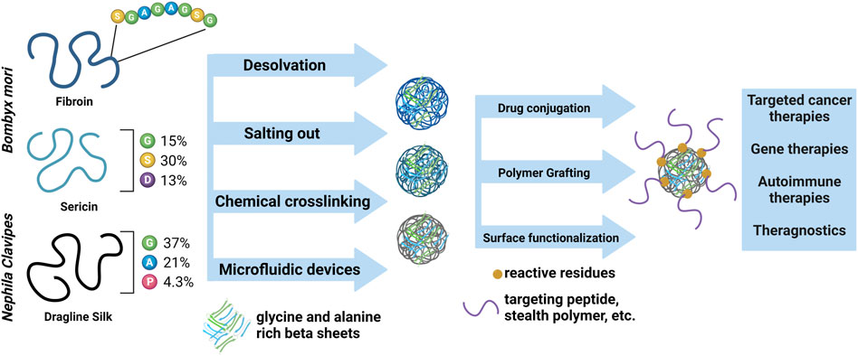 Silk Hydrogels with Controllable Formation of Dityrosine,  3,4-Dihydroxyphenylalanine, and 3,4-Dihydroxyphenylalanine–Fe3+ Complexes  through Chitosan Particle-Assisted Fenton Reactions
