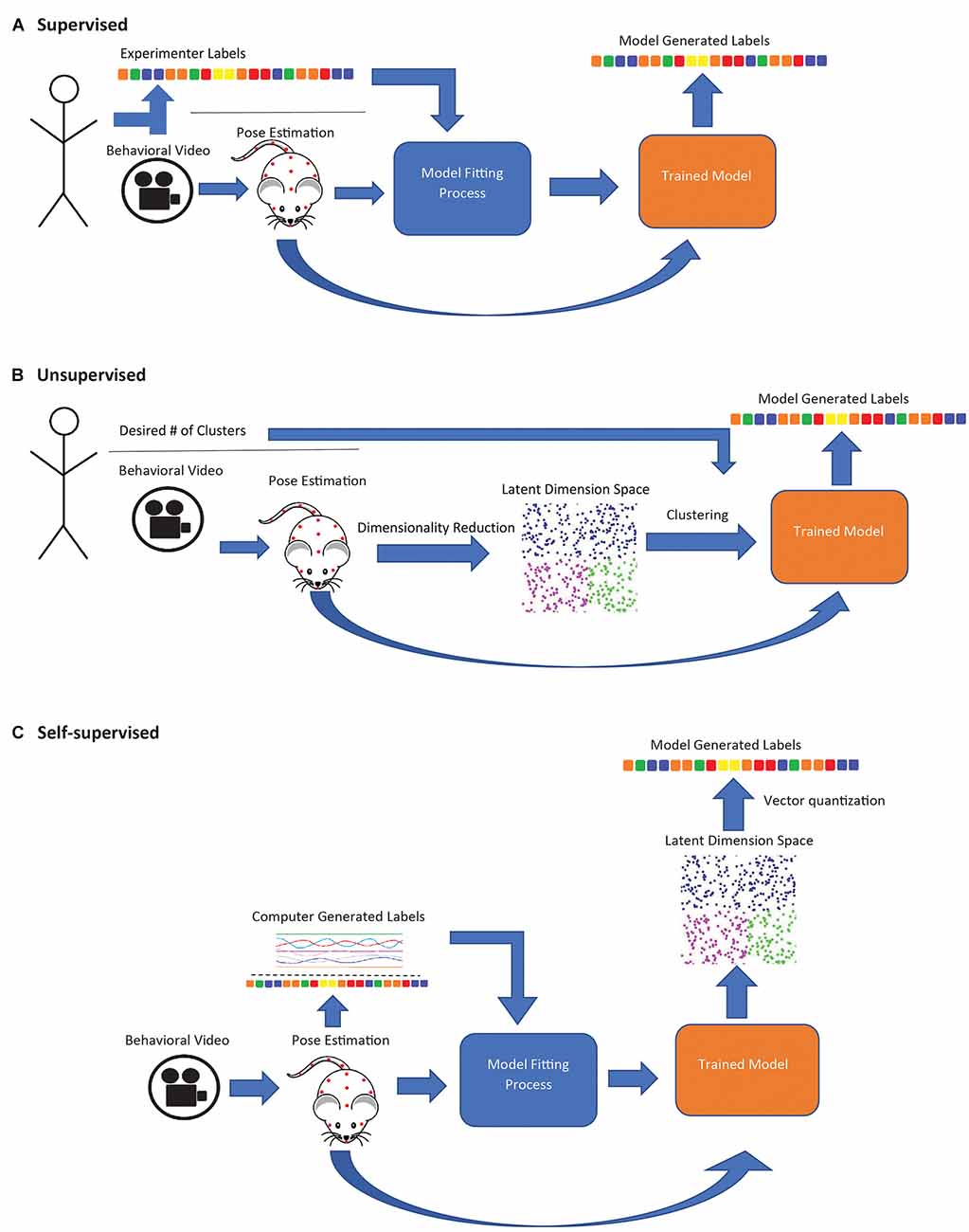 Frontiers Decision Making as a Learned Skill in Mice and Humans