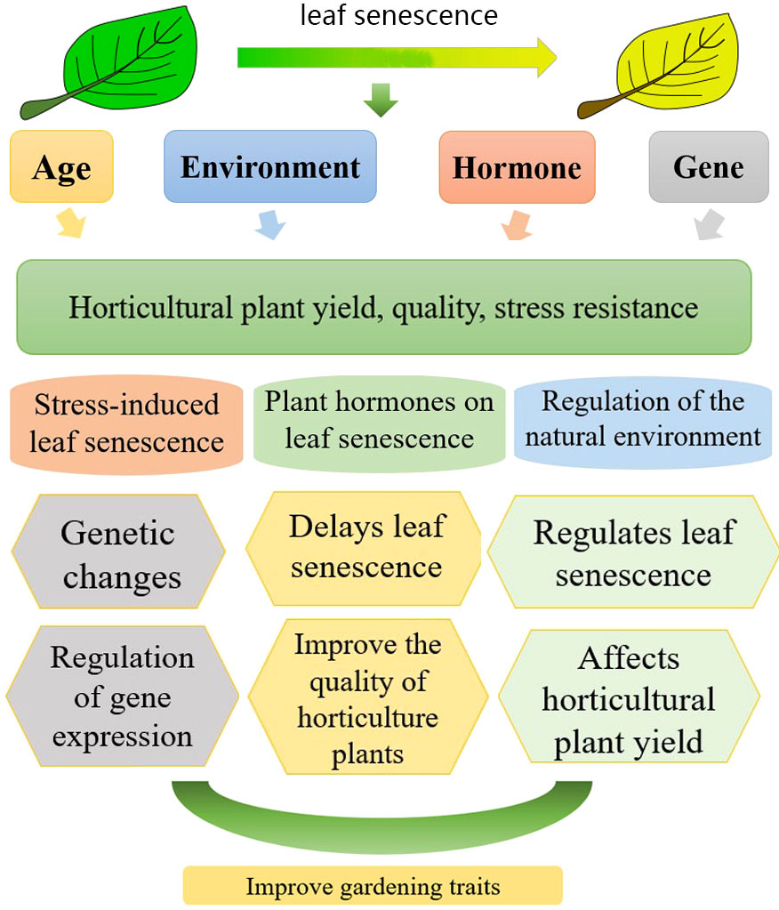 Horticulturae, Free Full-Text