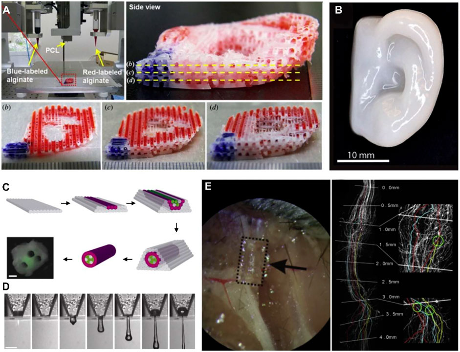 Multimodal Augmentation of Surfaces Using Conductive 3D Printing