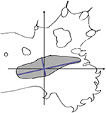www.frontiersin.org