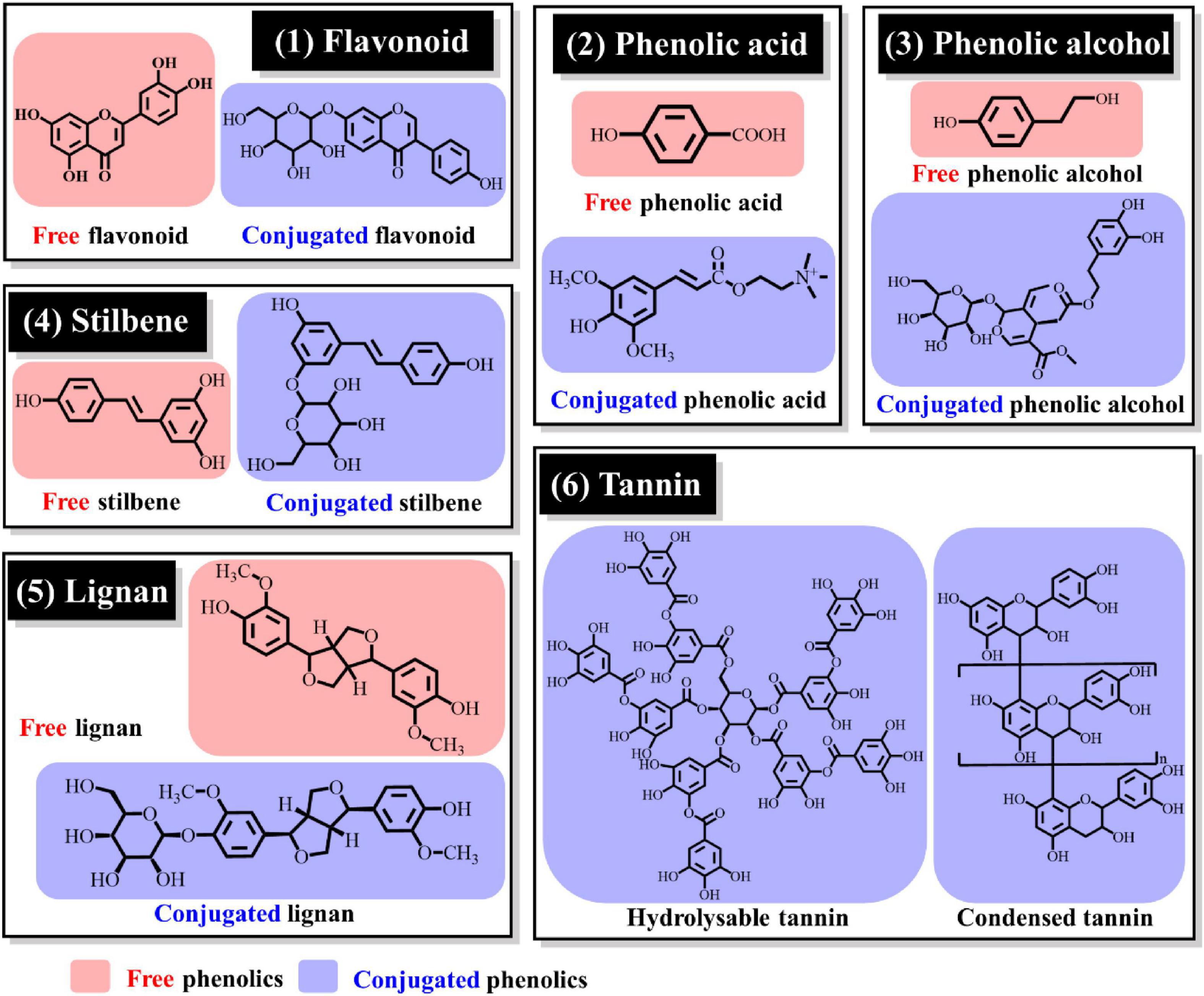 Classification and Adulteration Detection of Vegetable Oils Based on Fatty  Acid Profiles