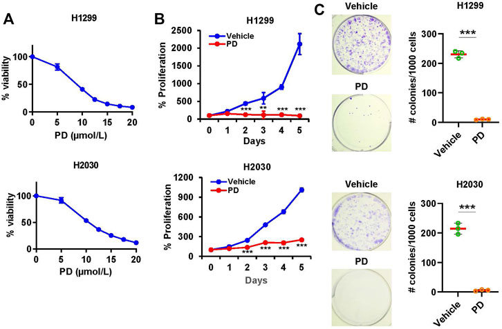 Frontiers Platycodin D induces apoptosis through JNK1 AP 1 PUMA pathway in non small cell lung cancer cells A new mechanism for an old compound