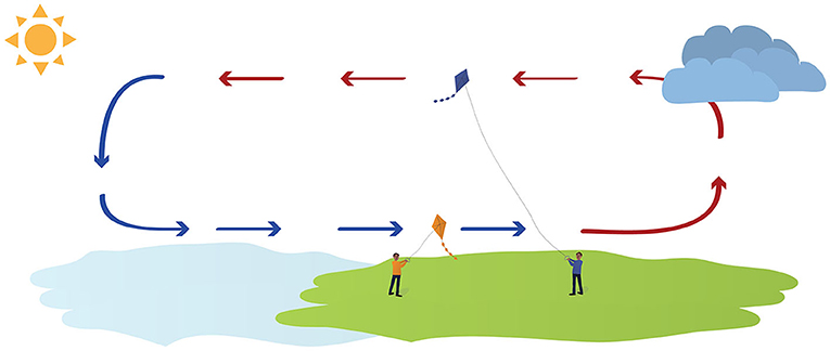 Figure 1 - On a sunny summer’s day, the sea breeze creates a circulation of the air along the coast, as indicated by the arrows (blue: cooler air, red: warmer air).