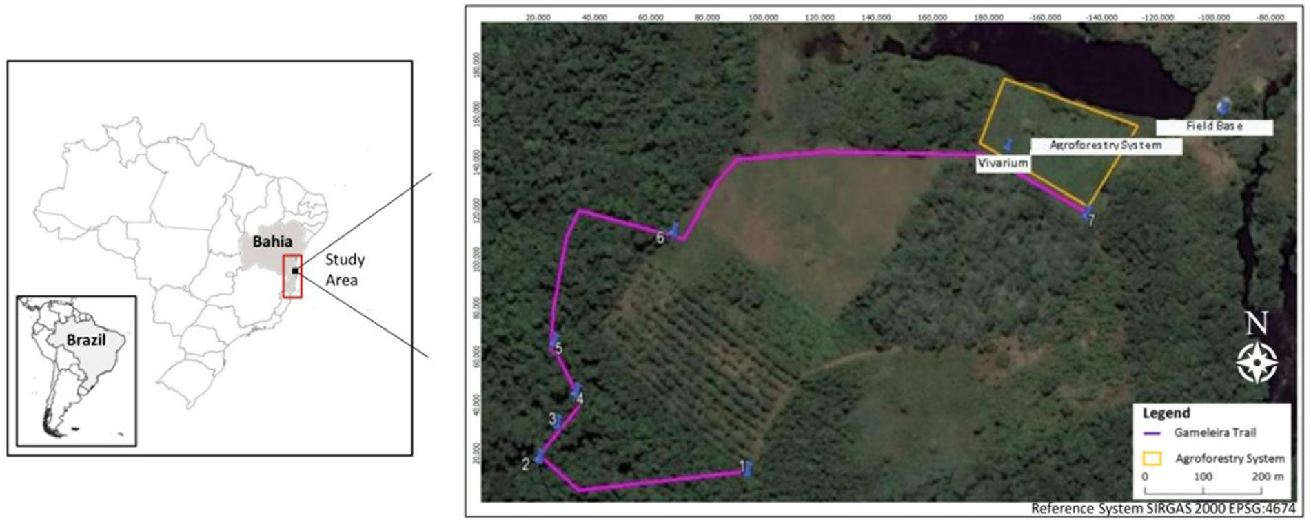 Frontiers Learning in the forest environmental perception of Brazilian teenagers