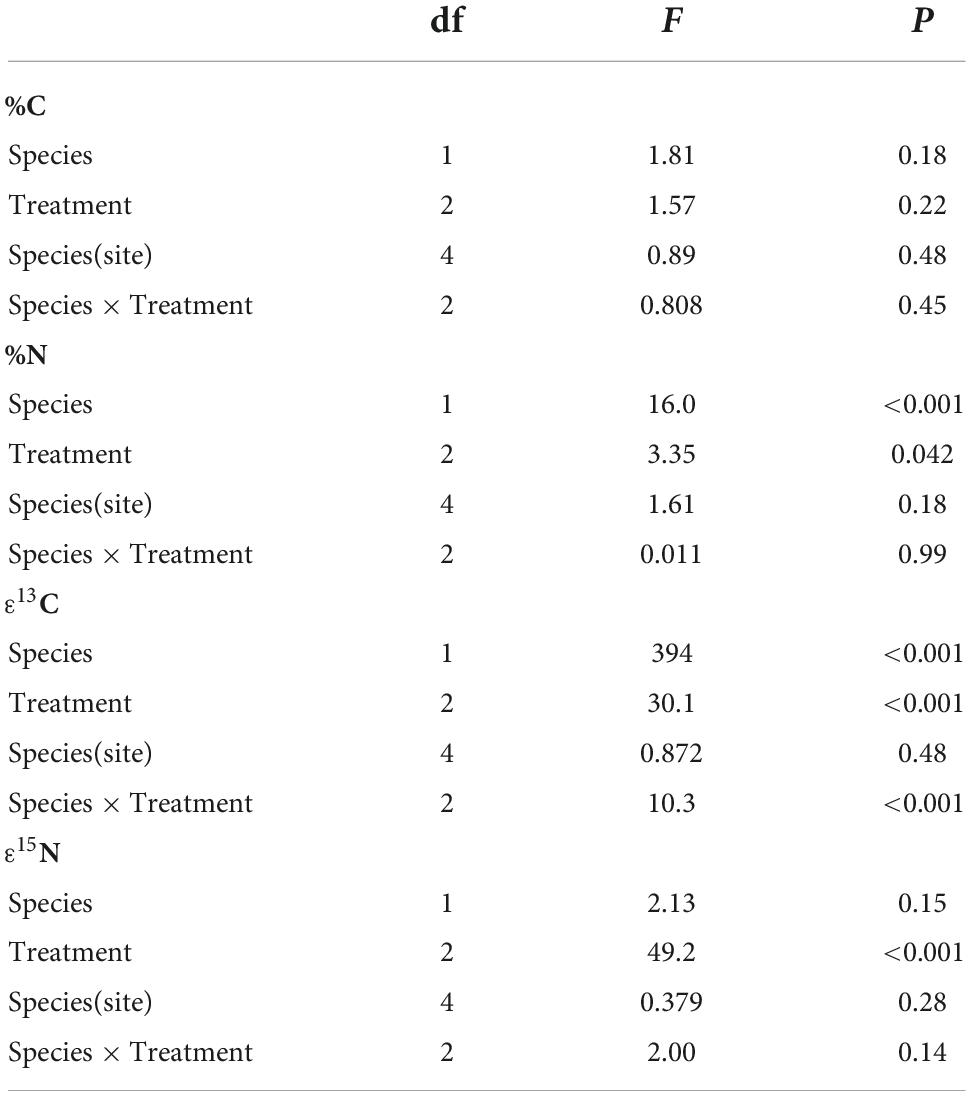 The “moss mount” for orchids: improving moisture and root growth