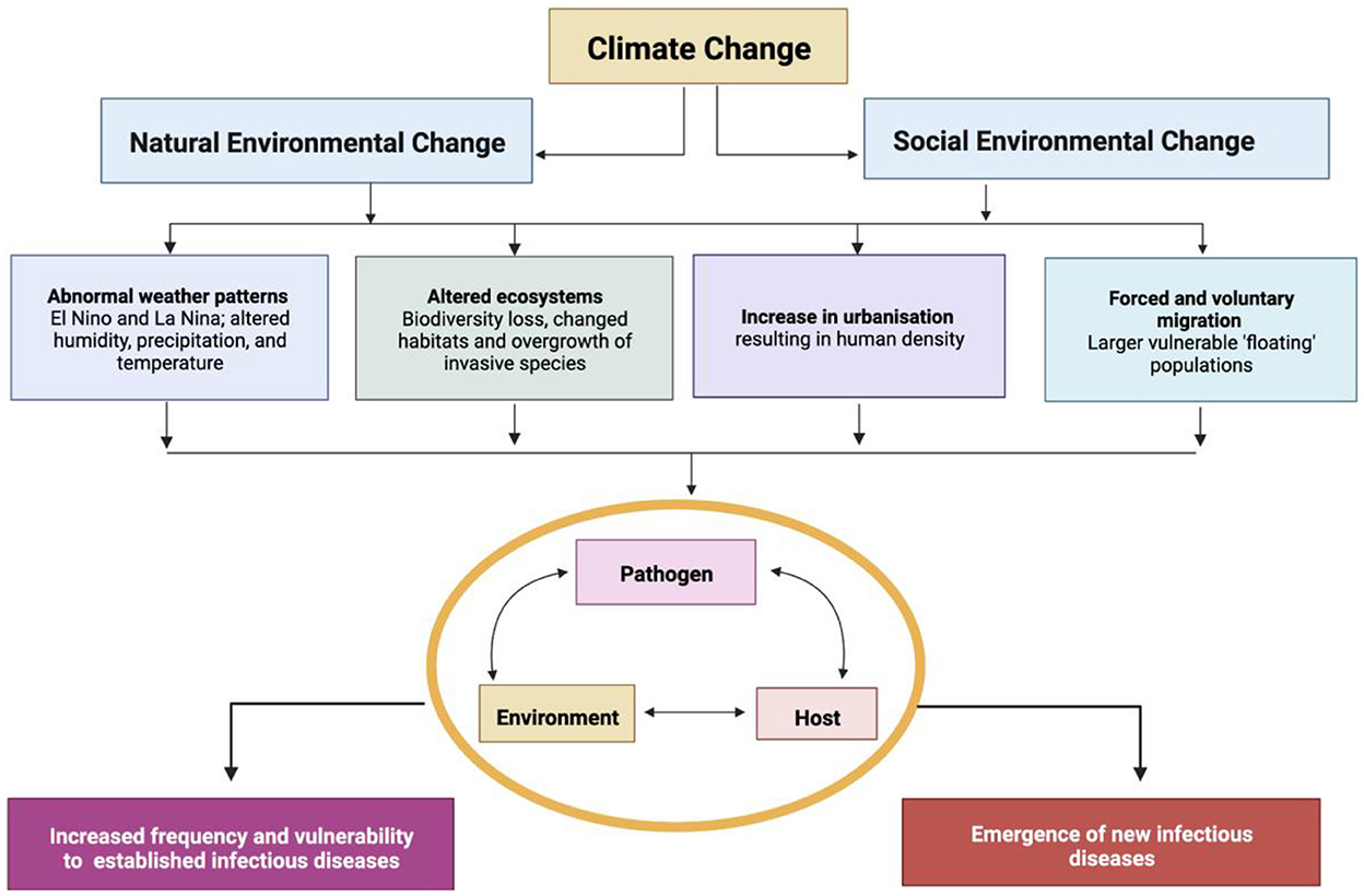 Learning to treat the climate emergency together: social tipping  interventions by the health community - The Lancet Planetary Health