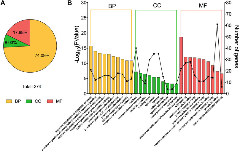 Frontiers | The mechanism of flavonoids from Cyclocarya