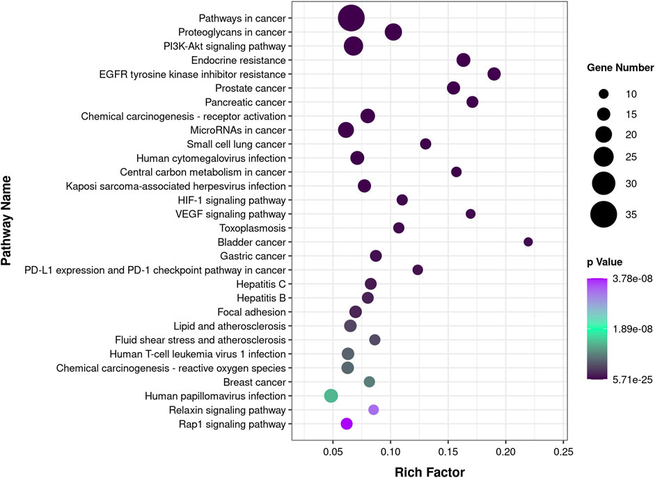 Frontiers | The mechanism of flavonoids from Cyclocarya