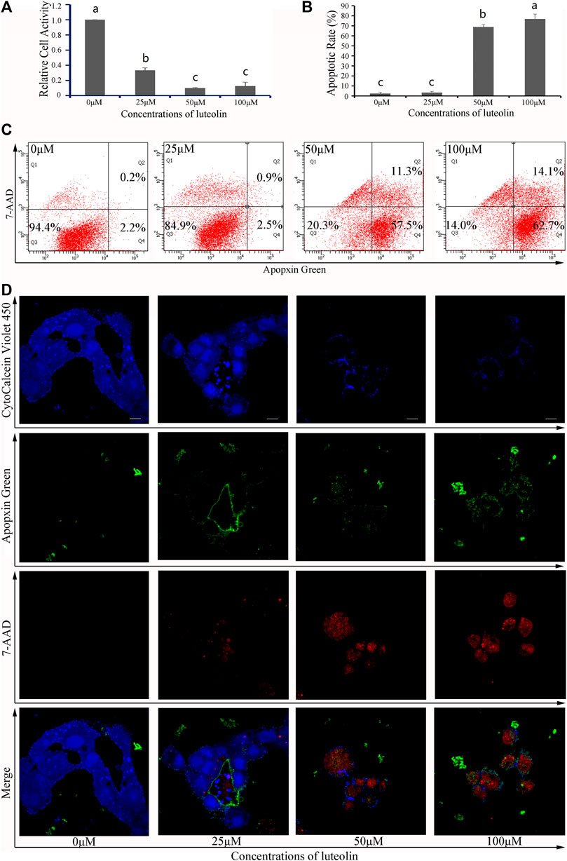 Diallyl Disulfide Induces Chemosensitization to Sorafenib
