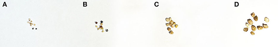 www.frontiersin.org