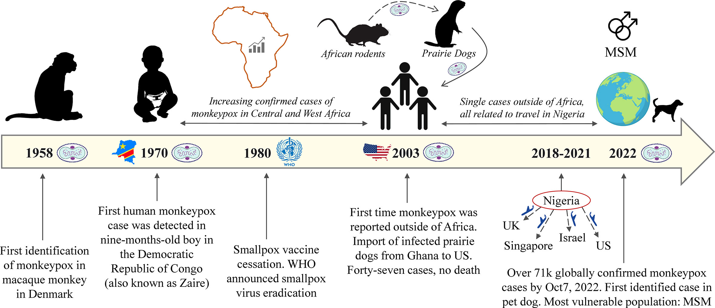 Monkeypox 101: Symptoms, Treatment, and Prevention
