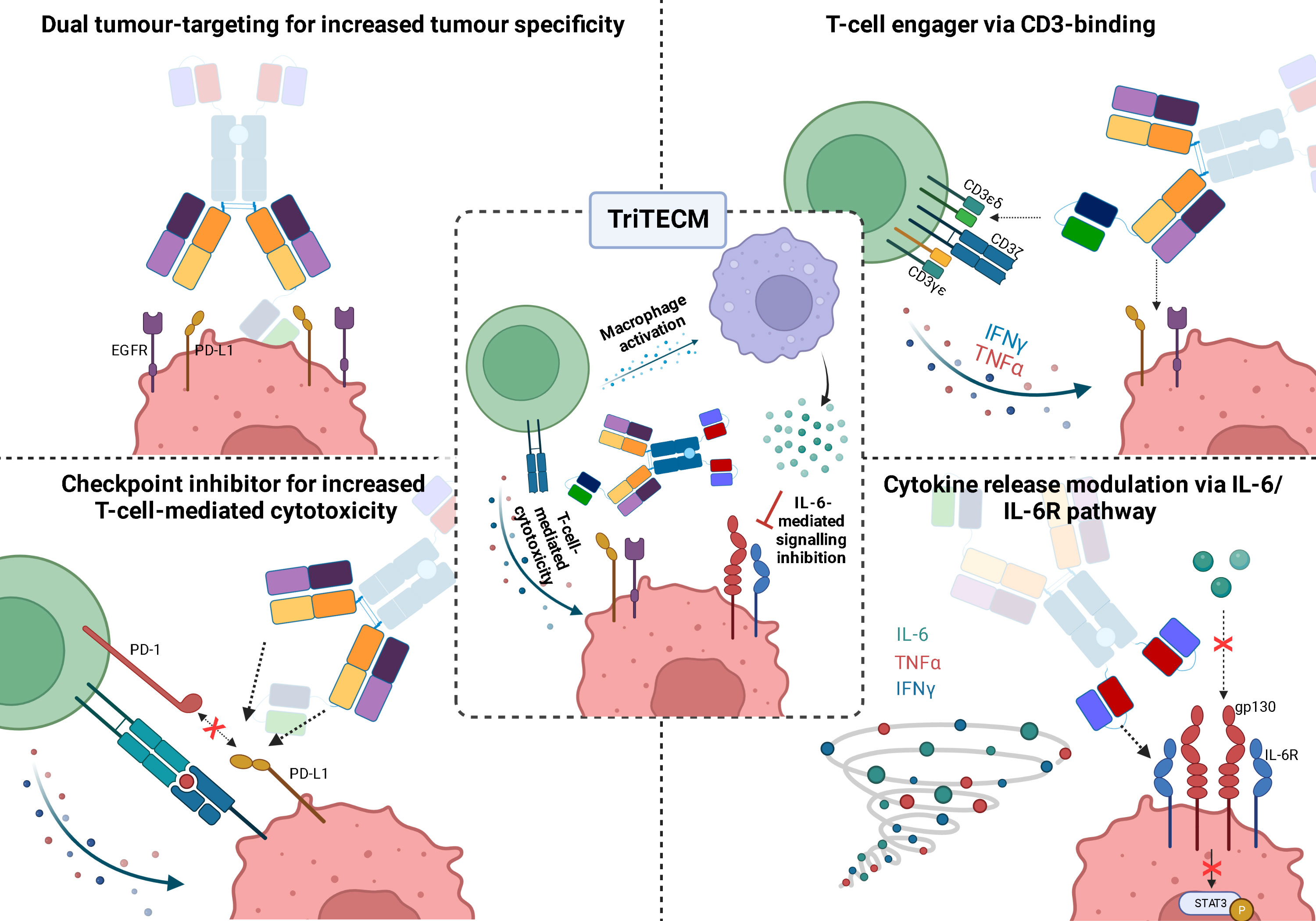 Cd3 antibody biolegend il6