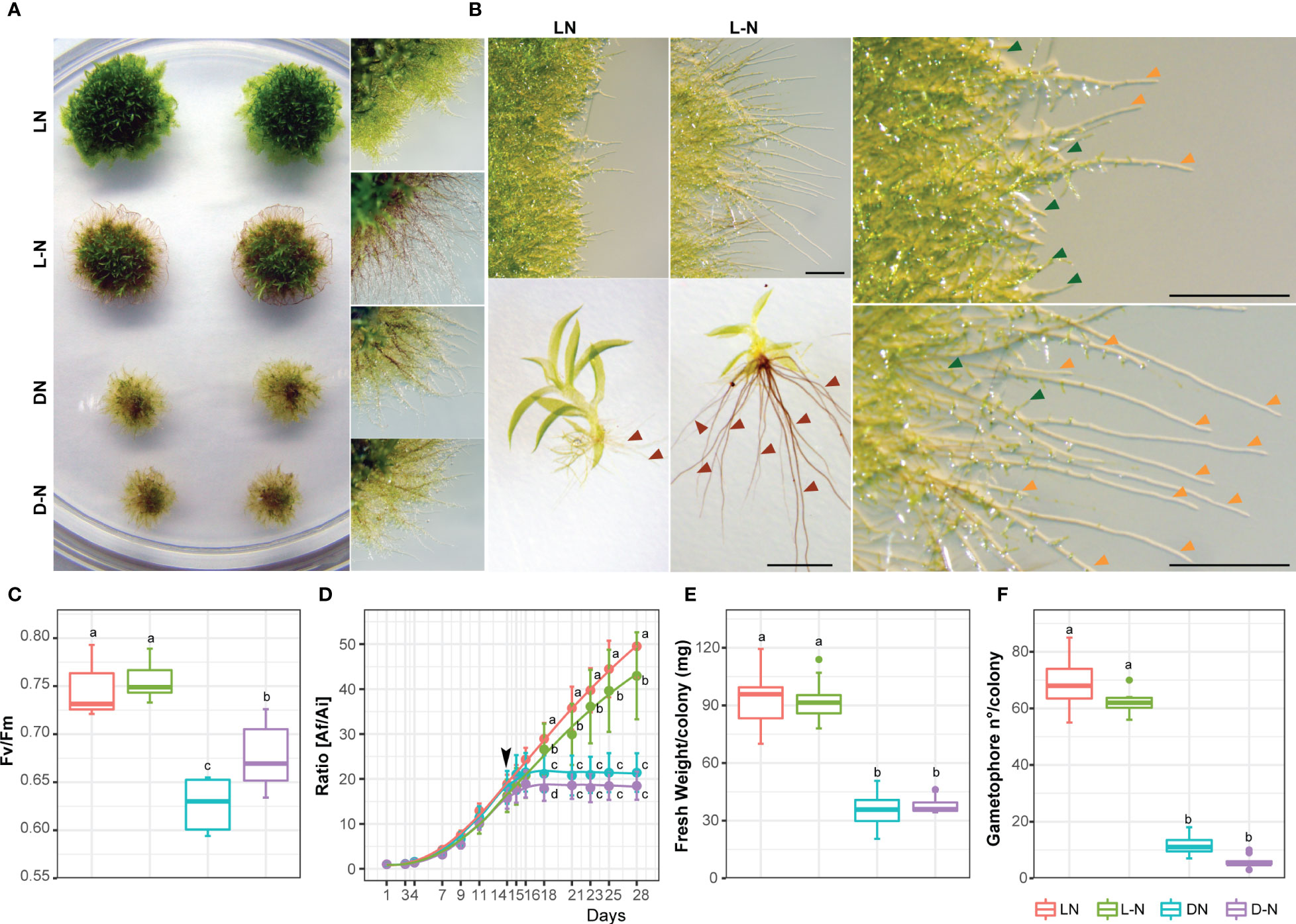 Researchers develop new method to analyze proteins in ecologically  significant moss