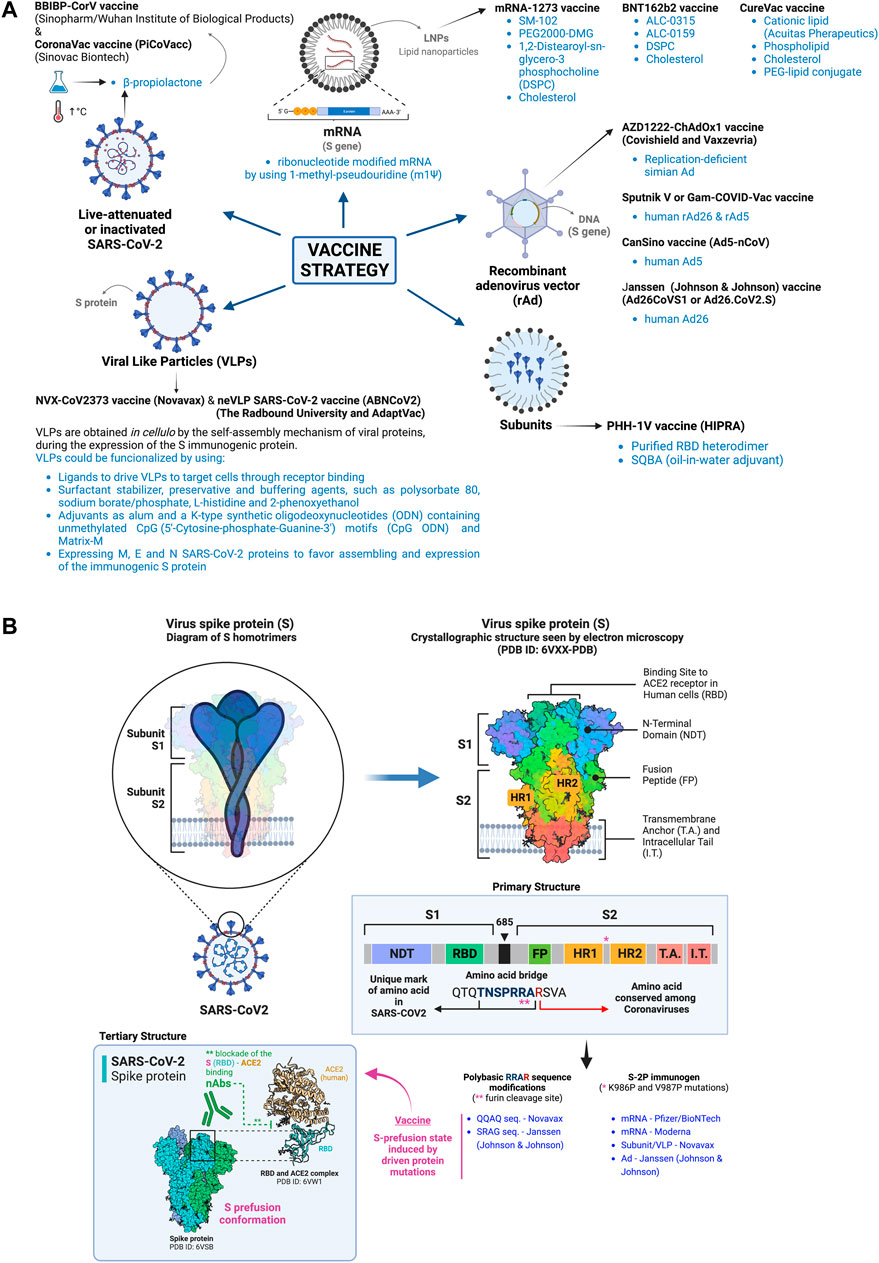 Frontiers  Nanomaterials to combat SARS-CoV-2: Strategies to