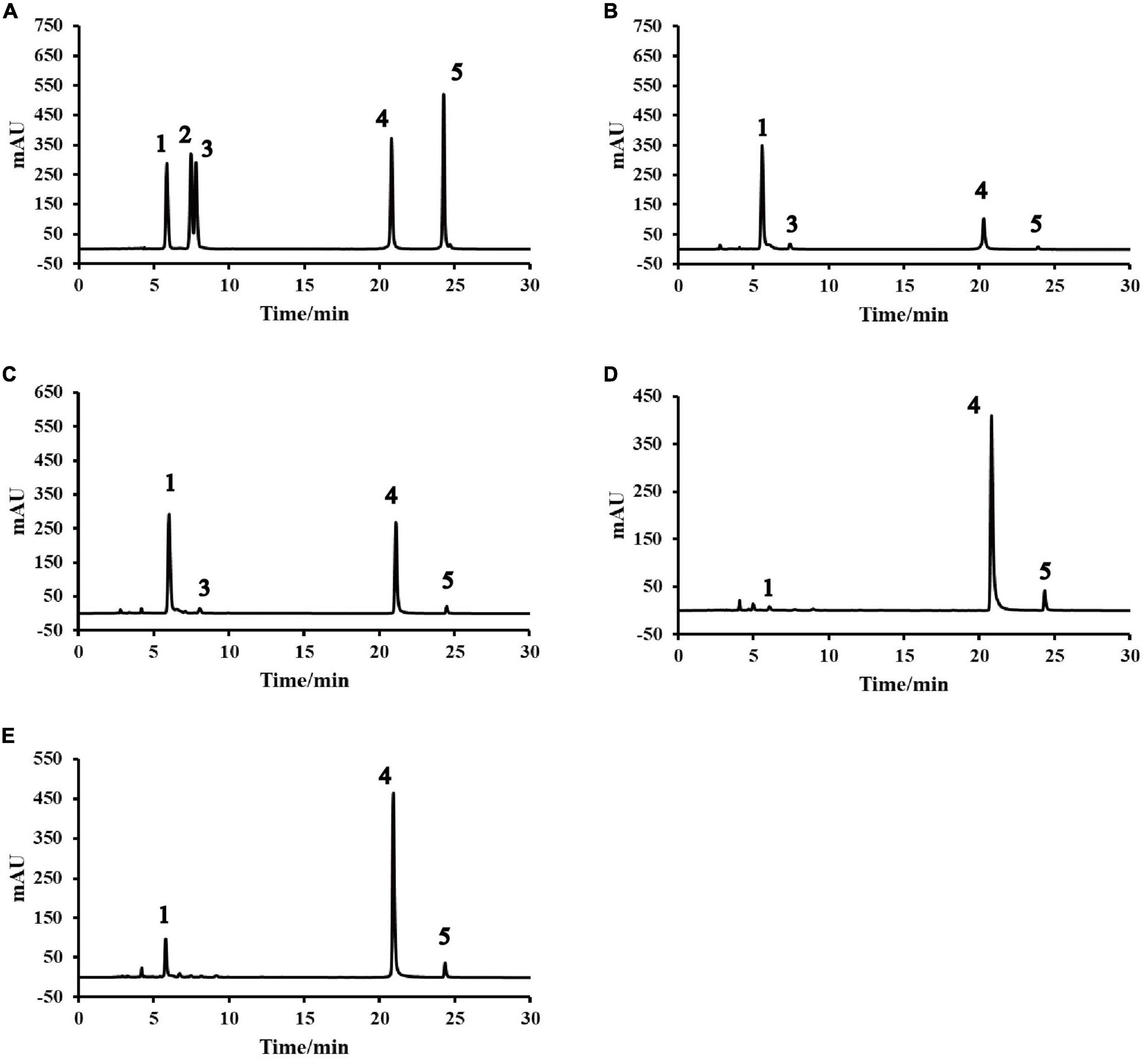 Cholesterol-Lowering Activity of Tartary Buckwheat Protein