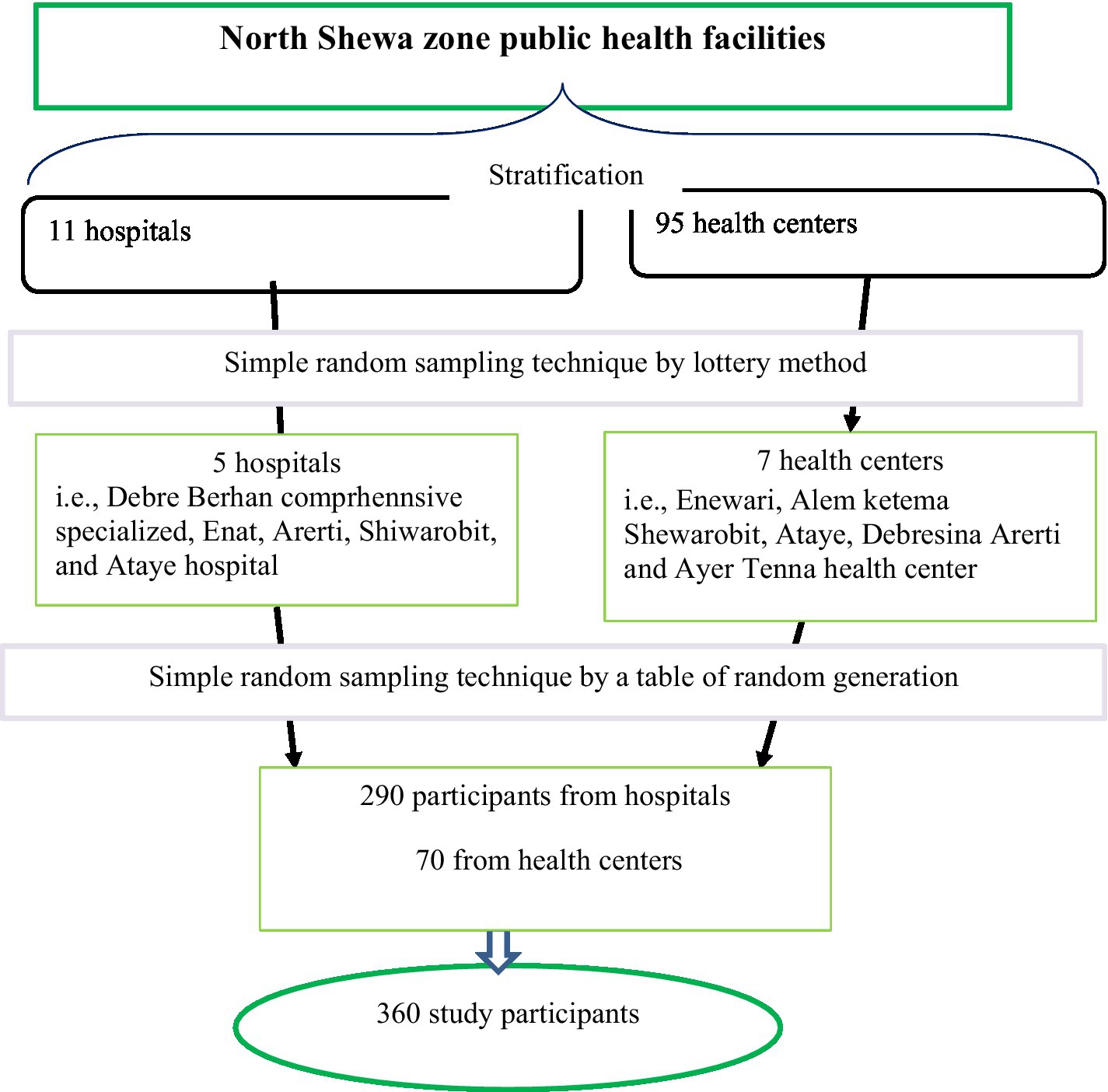 Nenko Brochure