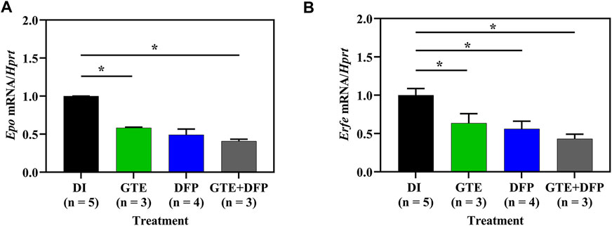 https://www.frontiersin.org/files/Articles/1053060/fphys-13-1053060-HTML/image_m/fphys-13-1053060-g005.jpg