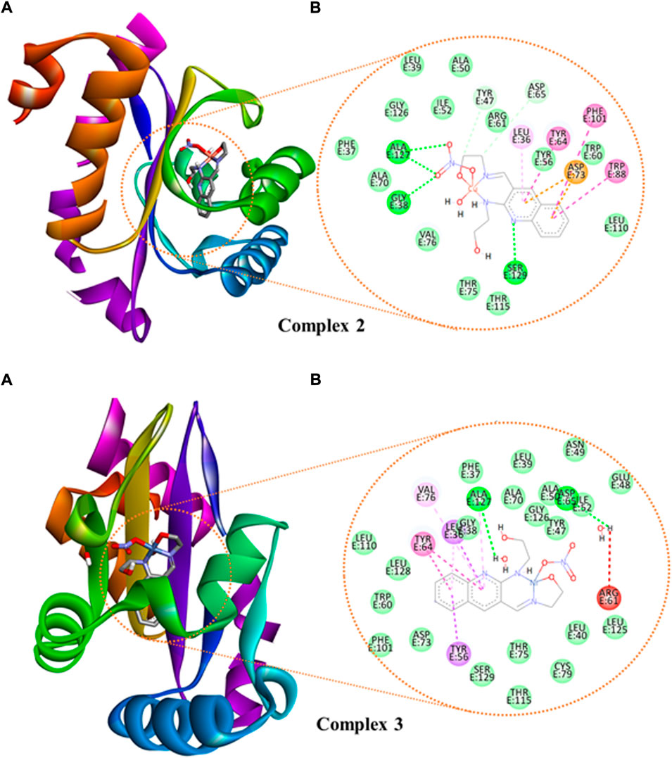 PDF) Synthesis and Structural Studies of Nickel Complex Supported