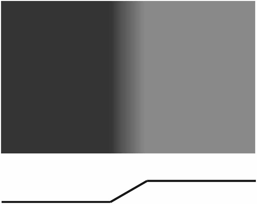 Frontiers | Mach bands explained by response normalization