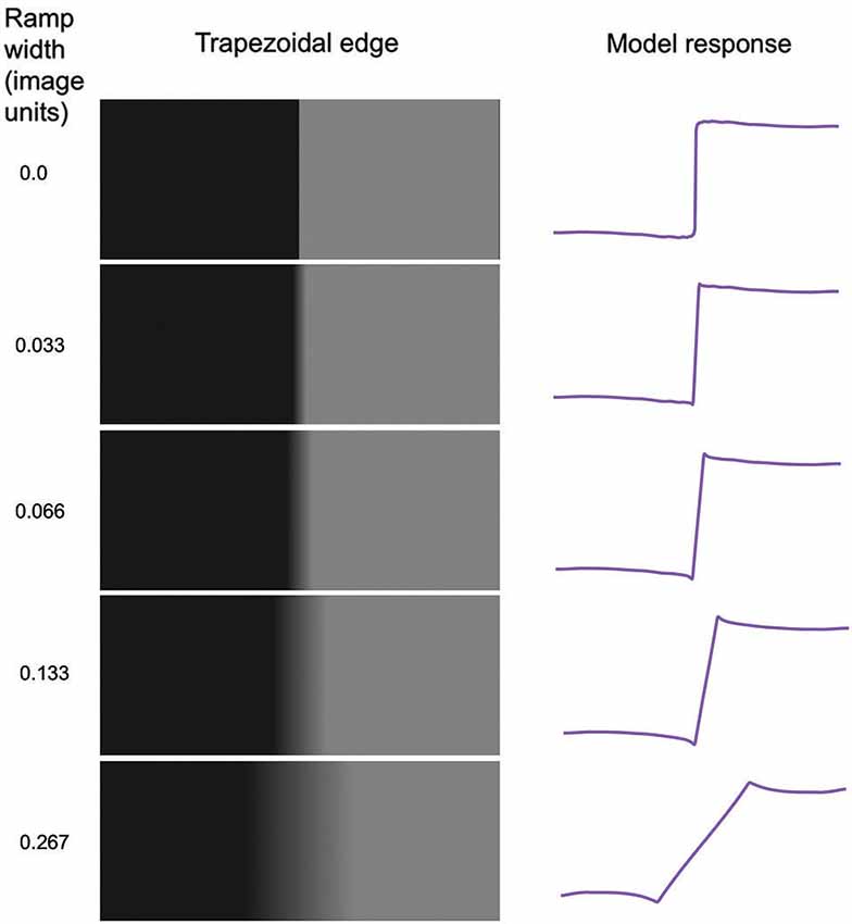 Responsive image