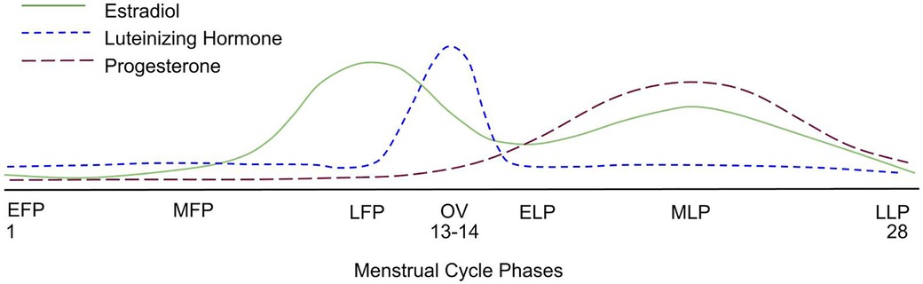 Menstrual Cycle Physiology: Correlating the Ovarian