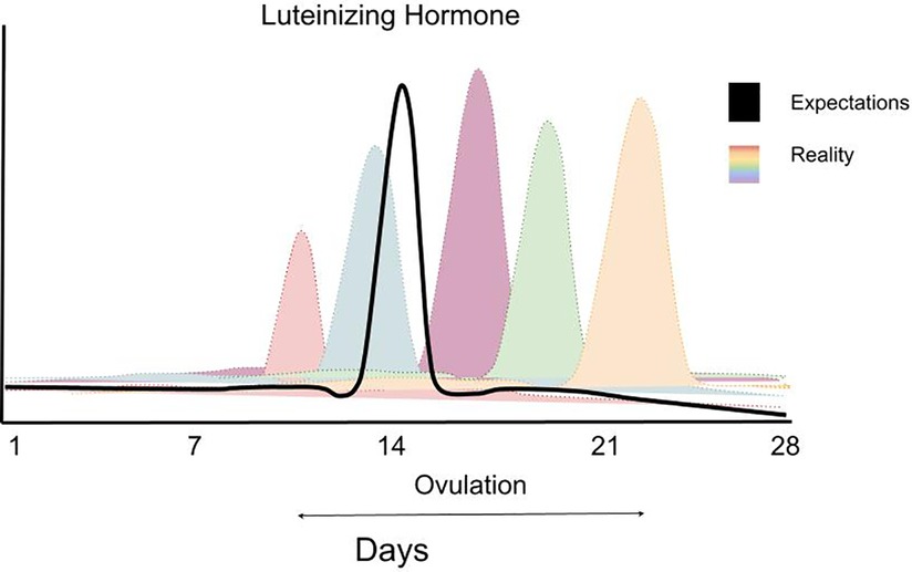 How does the menstrual cycle affect cycling and training?