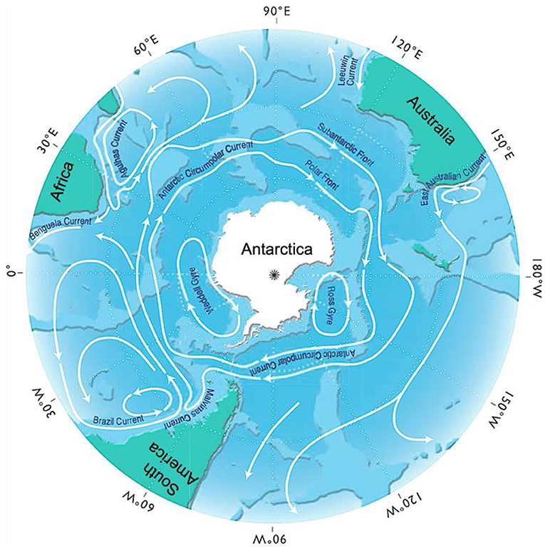 Figure 1 - The major ocean currents are shown by the arrows.