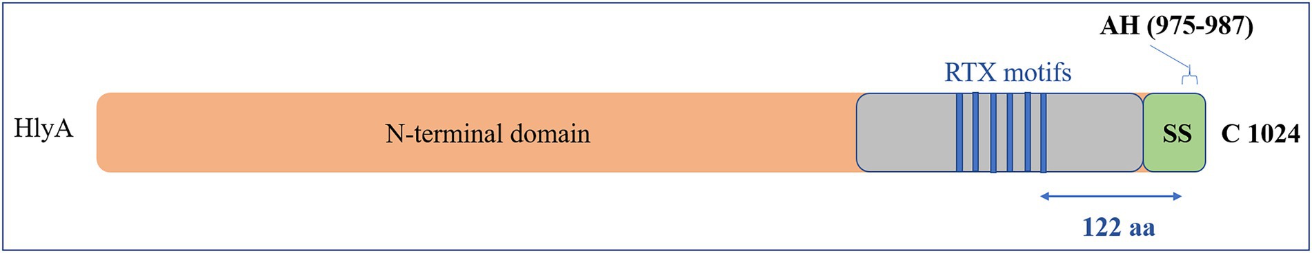 www.frontiersin.org
