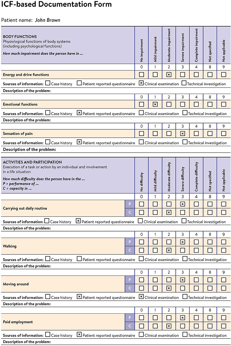 Figure 1 - An example of a form that could be used to assess human functioning.