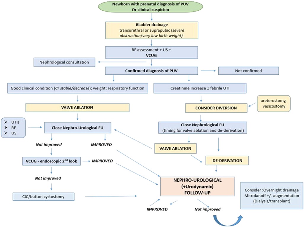 Treatment of urinary incontinence in women with chronic obstructive  pulmonary disease—a randomised controlled study, Trials