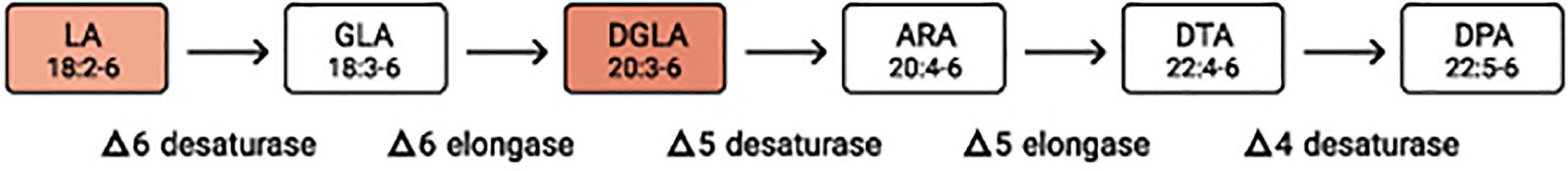 www.frontiersin.org