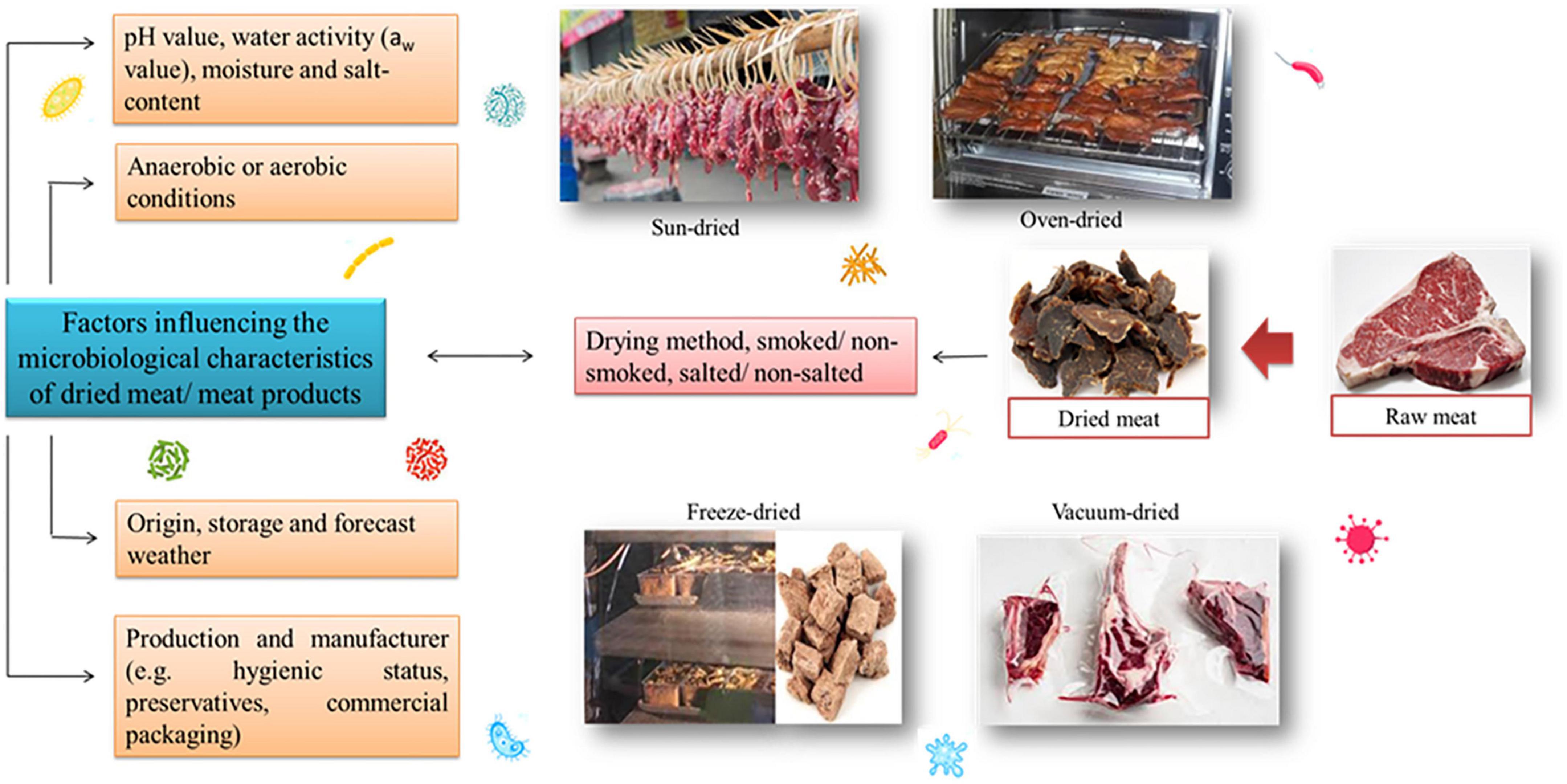 Meat Drying Oven--Hot Air Circulation Drying Machine