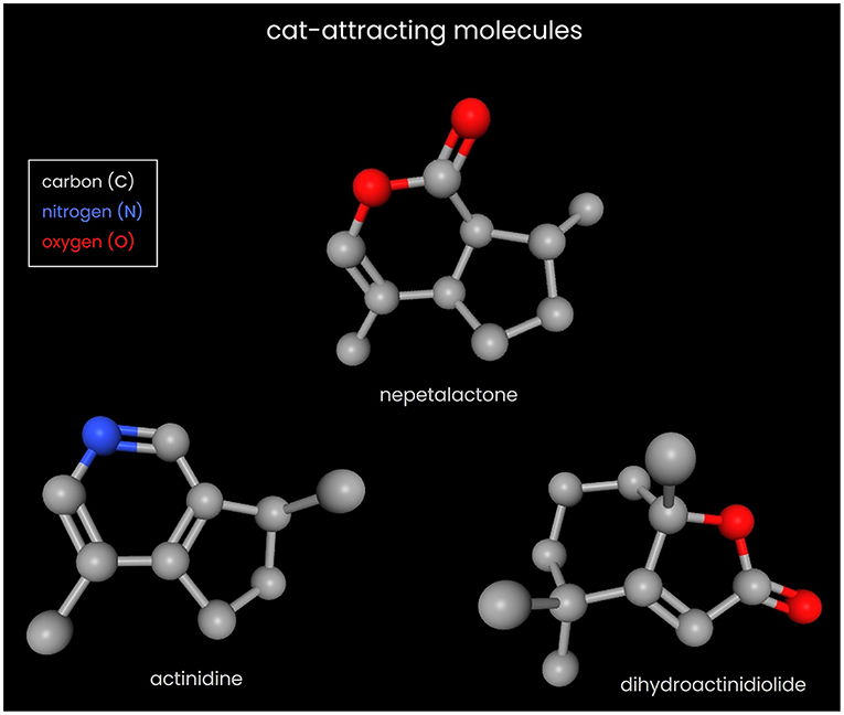 Figure 3 - Different plants contain different compounds that make cats happy.