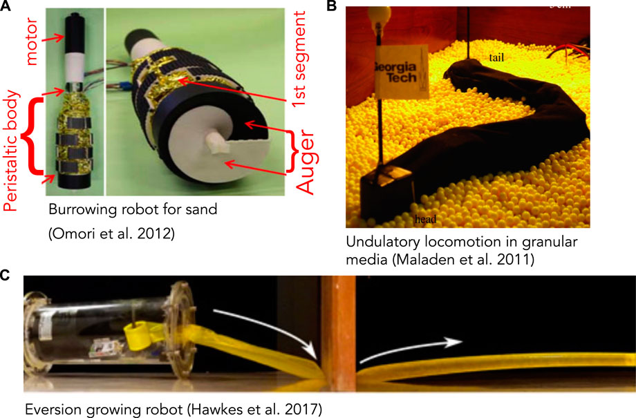 Frontiers  Fundamentals of burrowing in soft animals and robots