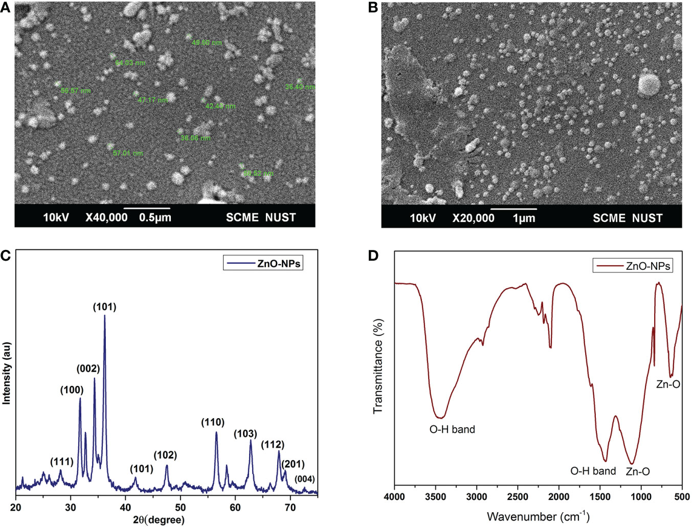 research paper on zinc oxide nanoparticles