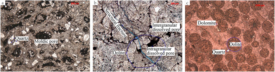 www.frontiersin.org